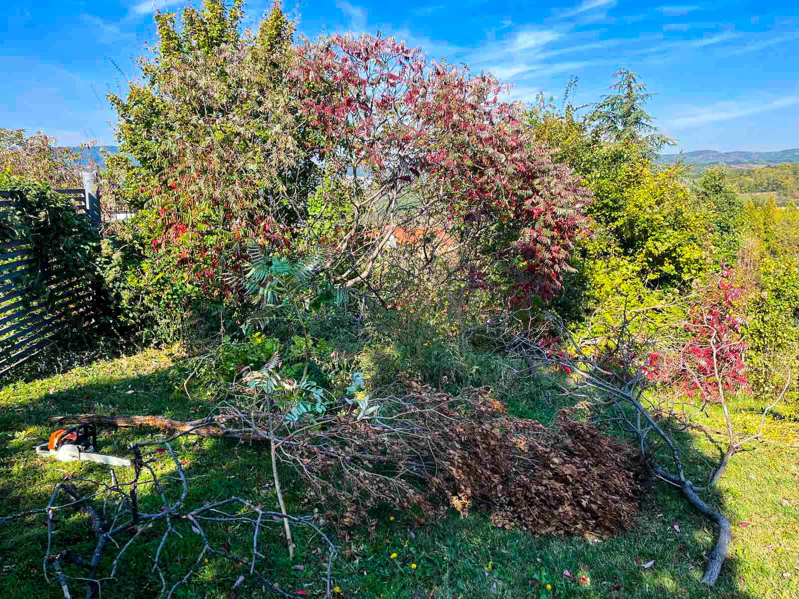 Prikaz naših usluga