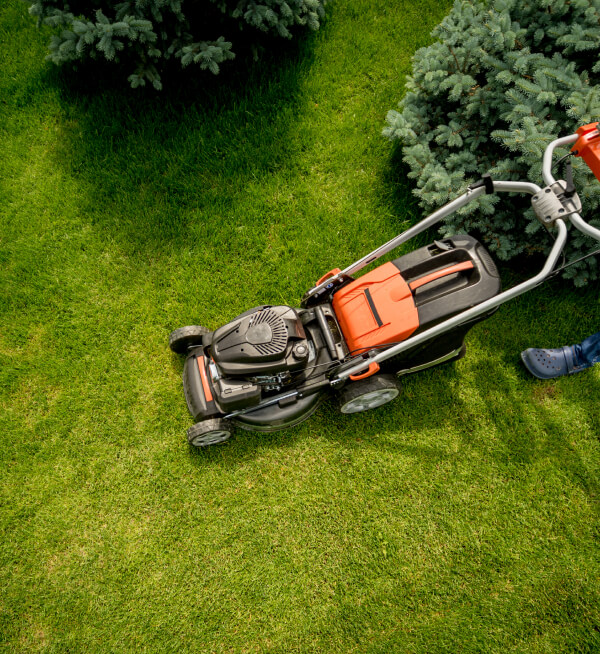 Održavanje travnjaka profesionalnom kosilicom